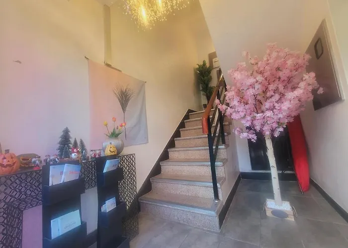Olive Myeongdong Hostal Seúl