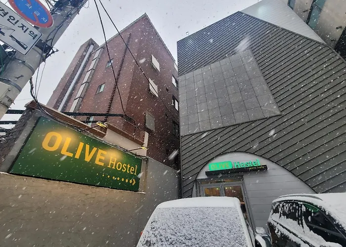 Olive Myeongdong Hostal *